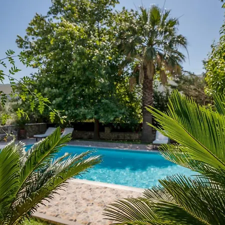 Eleonas Private Pool Vilă Fiolítis